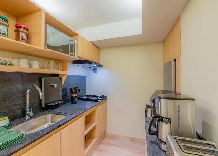 Apartamento Capitalia Palacio Polanco *